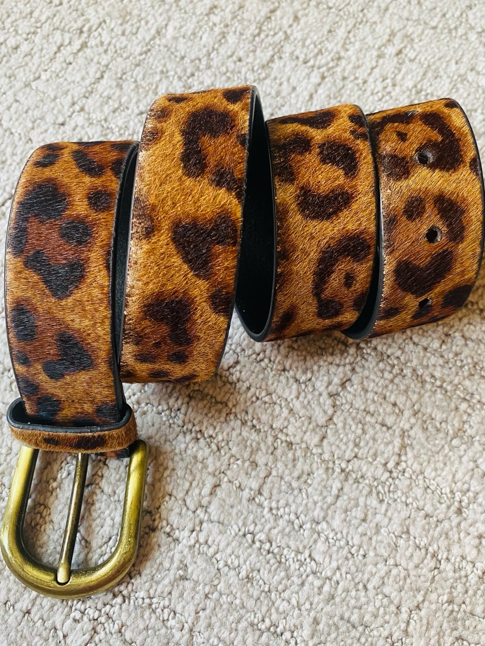 Patricia Nash Leopard Print Haircalf Belt in Brown & Black- brass buckle